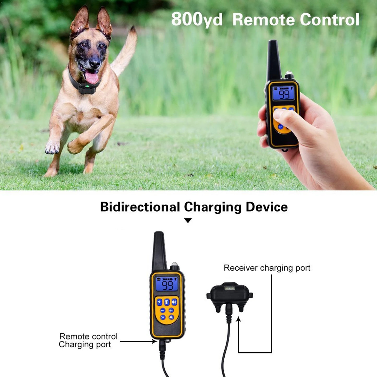 Electric Dog Training Collar